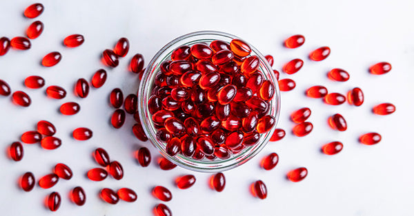Everything You Need to Know About Krill Oil