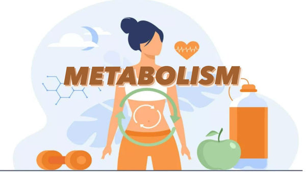 Metabolism