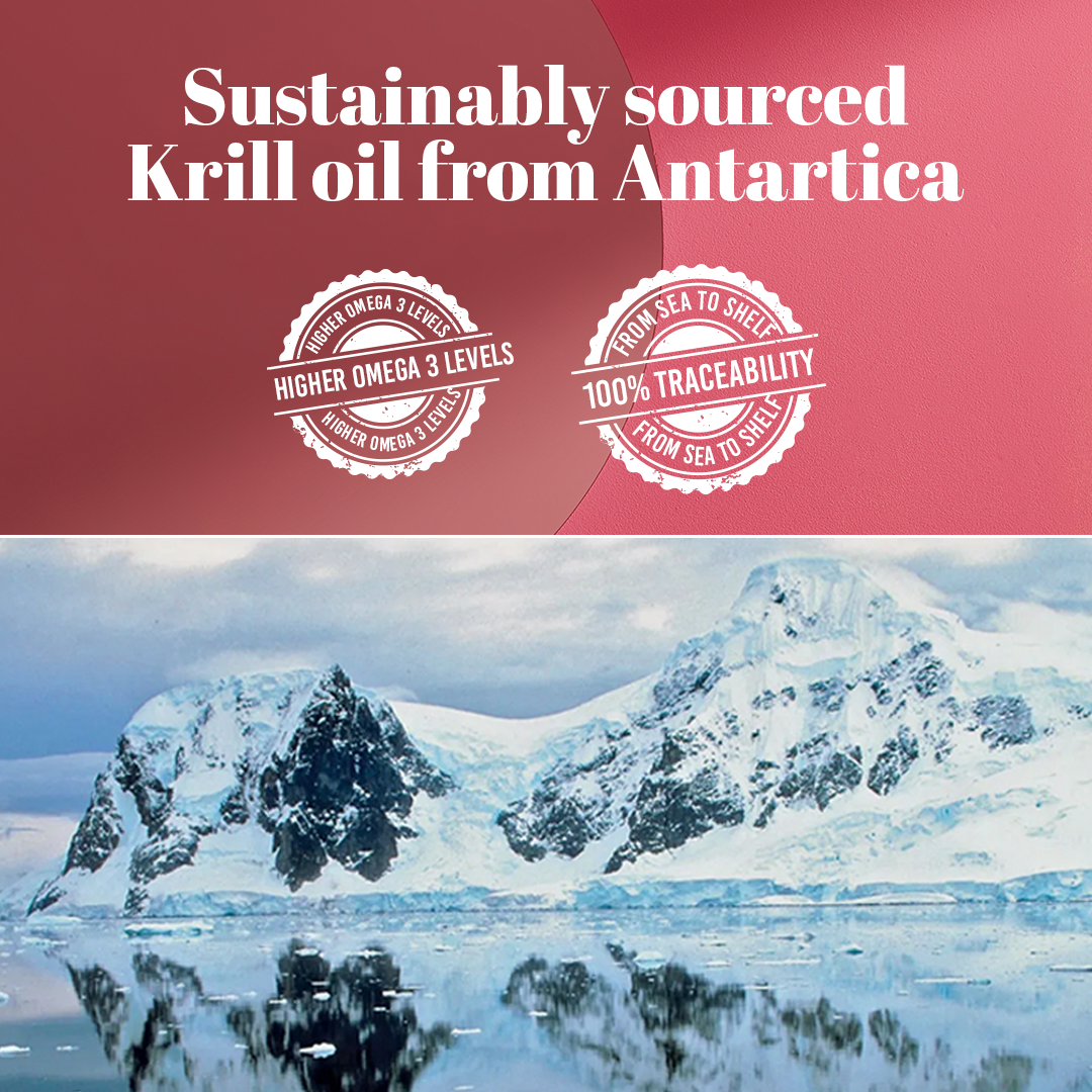 Swisse Superba boost Clinical Strength Deep Sea Krill Oil - 1000mg