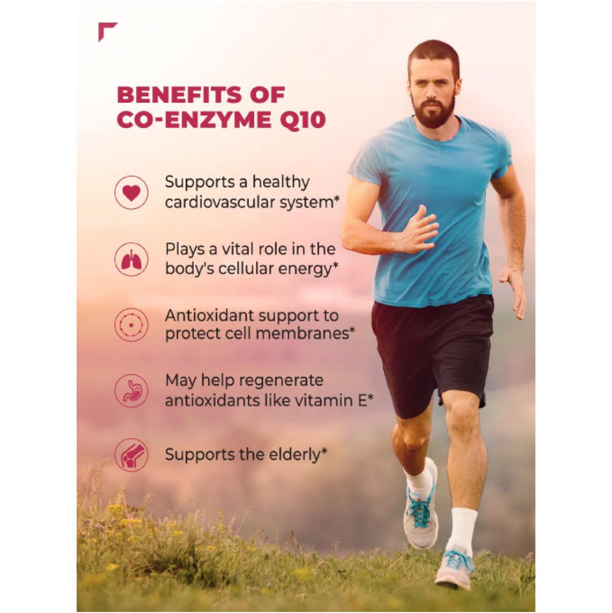 Benefits of Co-Enzyme Q10 - 50 Capsule  (6625406484665)