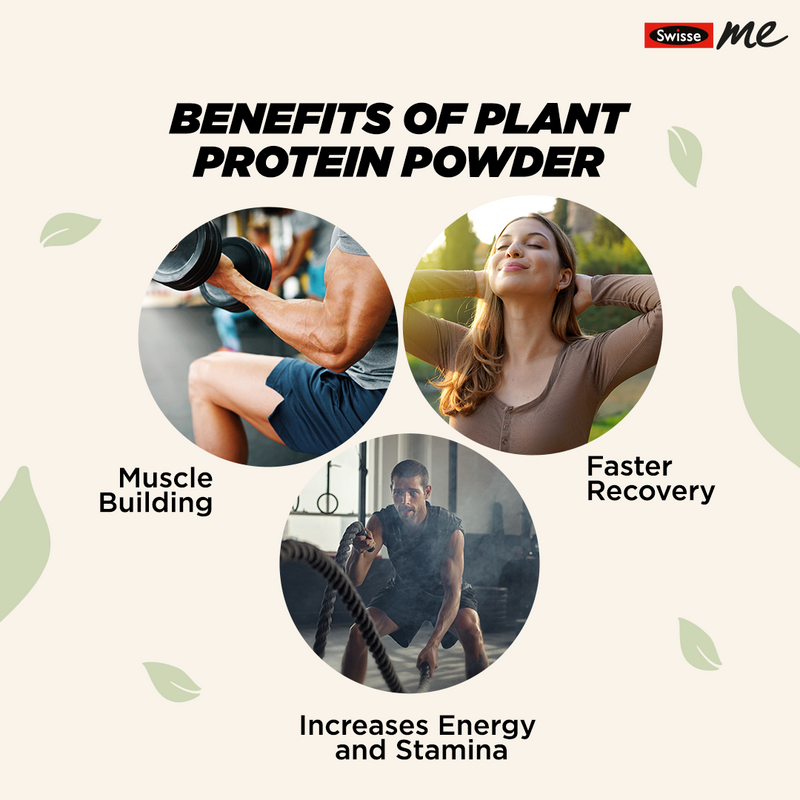 SwisseMe Plant Protein - Daily Nutrition For Men & Women - 100% Natural, Zero Added Sugar, 24g Vegan Pea Protein For Post Workout Recovery, Lean Muscle Building, Strength & Stamina (Chocolate Flavor, 500g) (7437529022649)